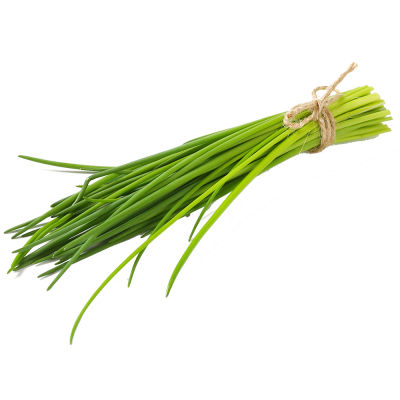 Schnittlauch - Erba cipollina